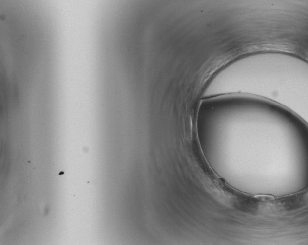 X0000066520109200603171000