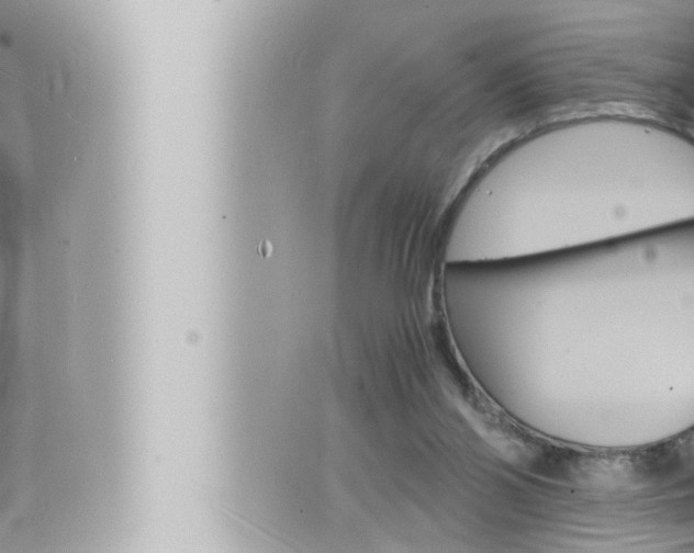 X0000066520110200603171000