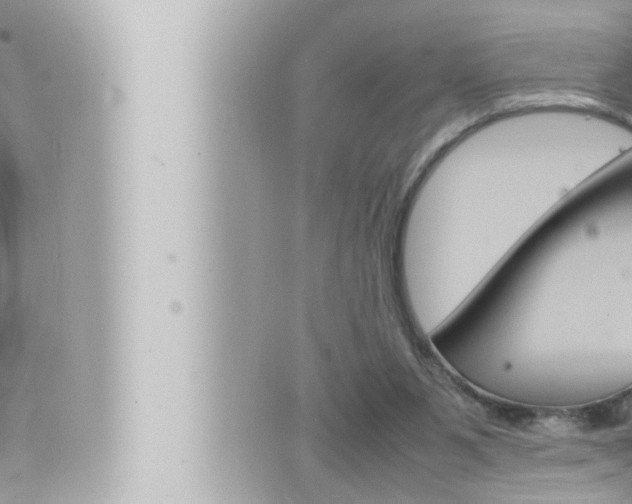 X0000066520111200603171000