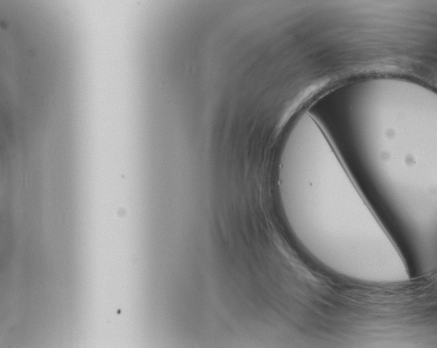 X0000066520112200603171000