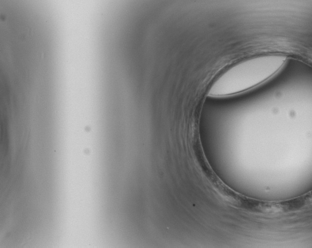 X0000066520113200603171000