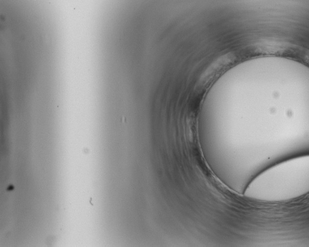 X0000066520114200603171000