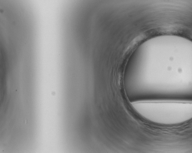 X0000066520115200603171000