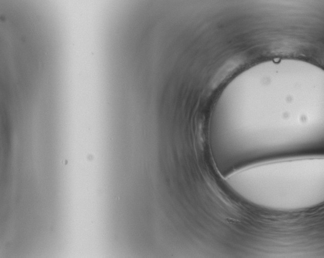 X0000066520116200603171000