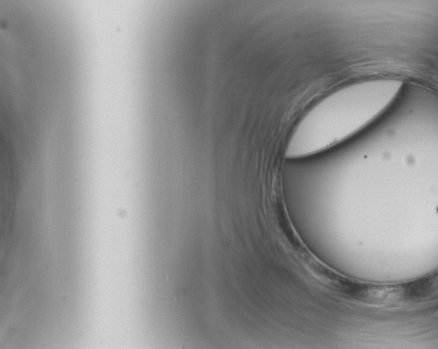 X0000066520117200603171000