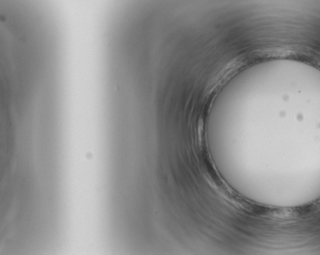 X0000066520118200603171000