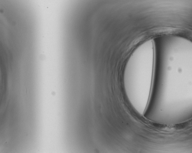 X0000066520119200603171000