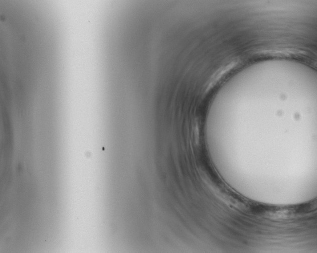 X0000066520120200603171000