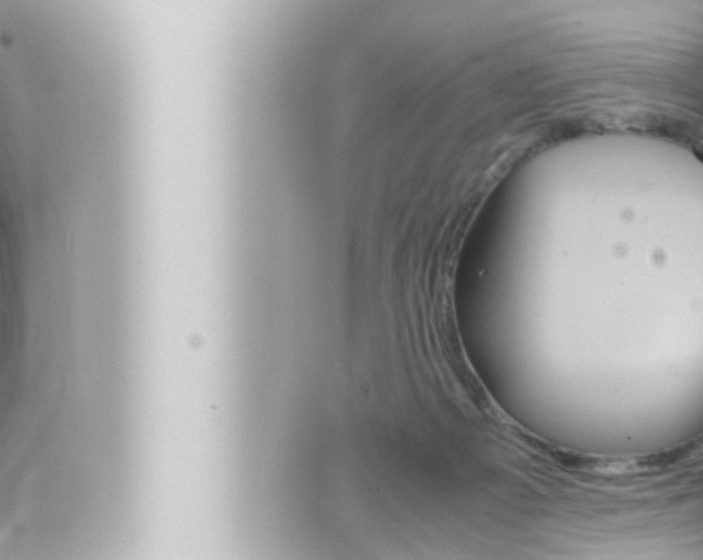 X0000066520121200603171000