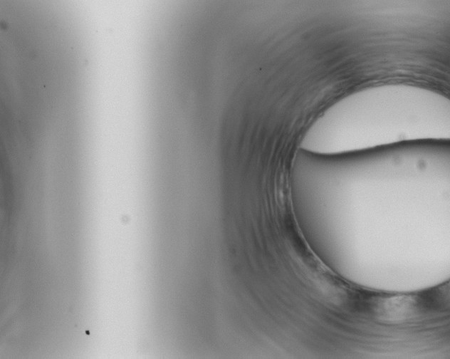 X0000066520122200603171000