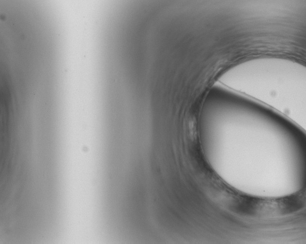 X0000066520123200603171000