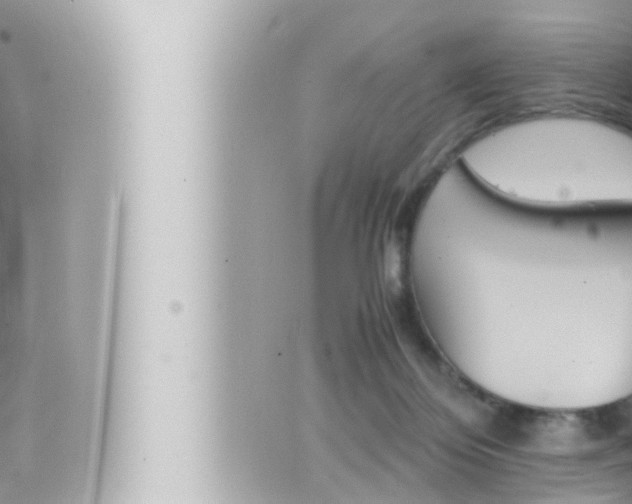 X0000066520124200603171000