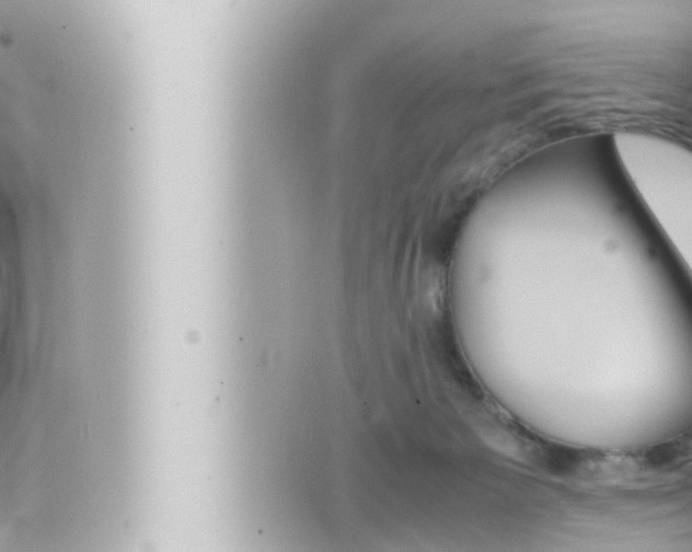 X0000066520125200603171000