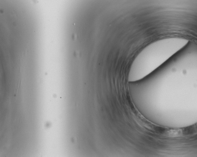 X0000066520126200603171000