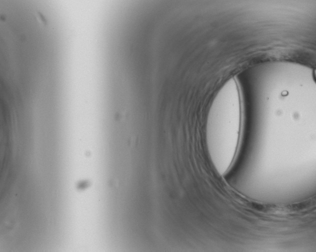 X0000066520127200603171000