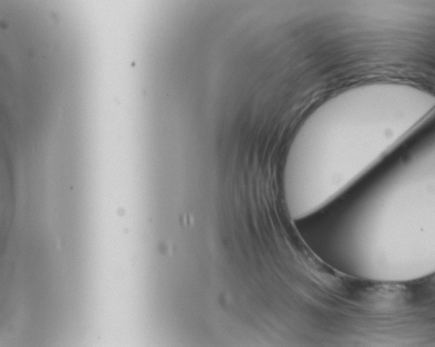 X0000066520128200603171000