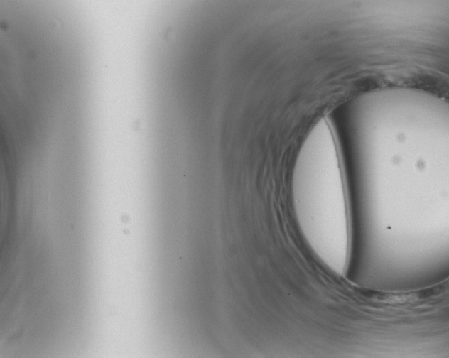 X0000066520129200603171000