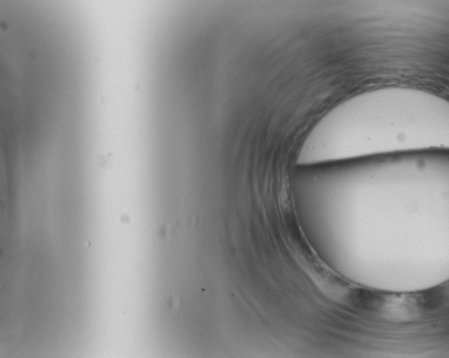 X0000066520130200603171000