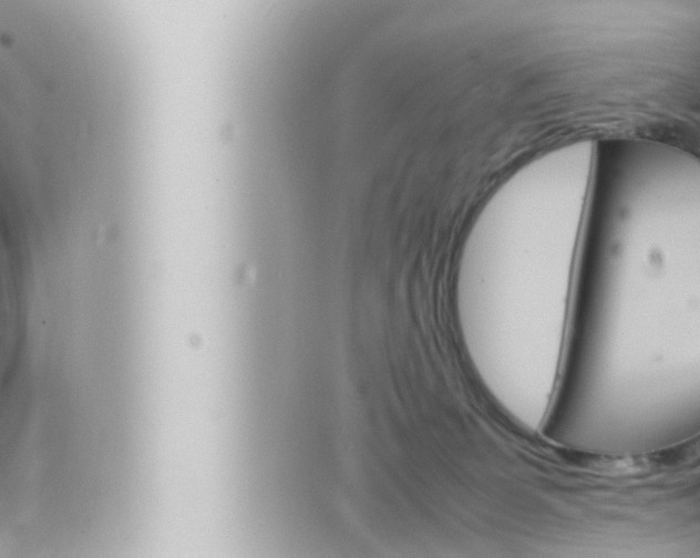 X0000066520131200603171000