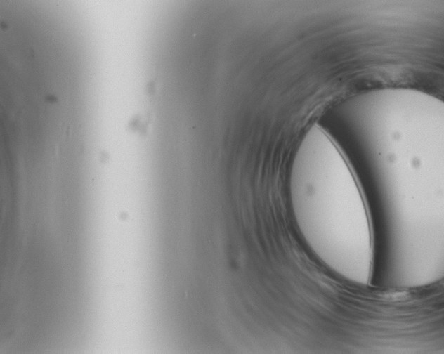 X0000066520132200603171000