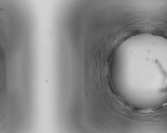 X0000066520133200603171000