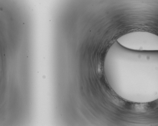 X0000066520134200603170959