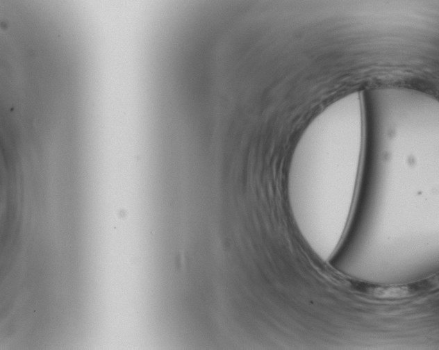 X0000066520135200603170959