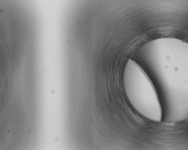 X0000066520136200603170959