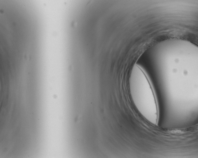 X0000066520137200603170959