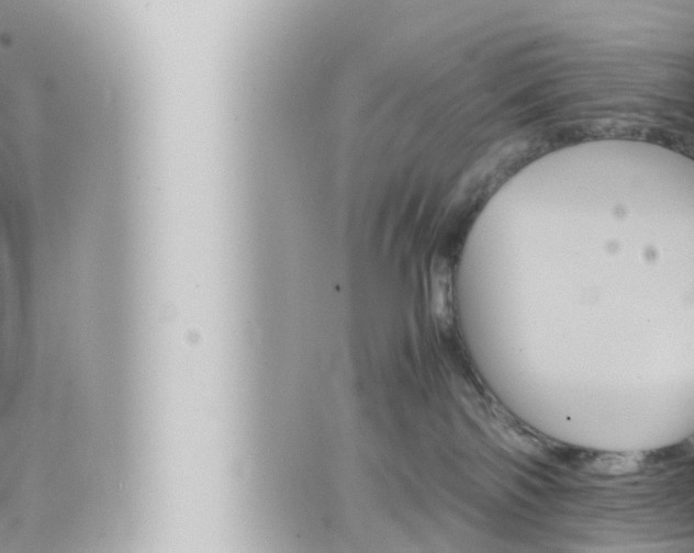 X0000066520138200603170959