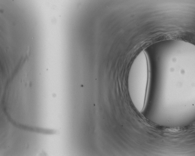 X0000066520139200603170959