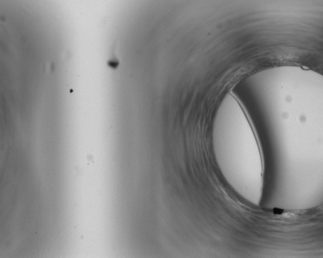 X0000066520140200603170959