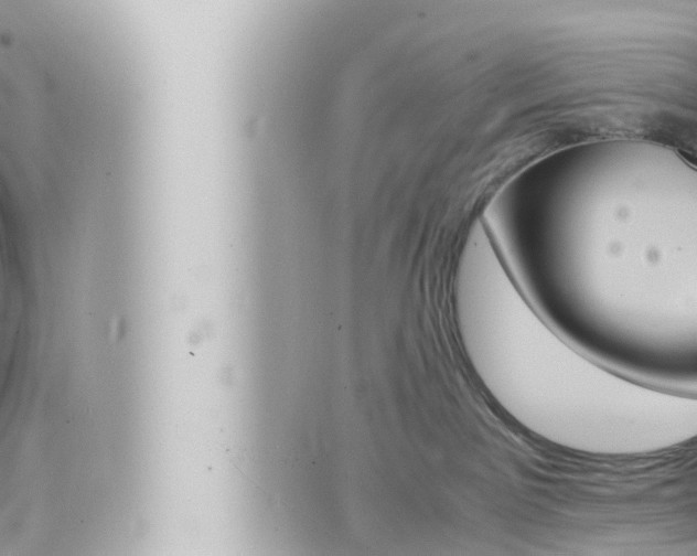 X0000066520141200603170959