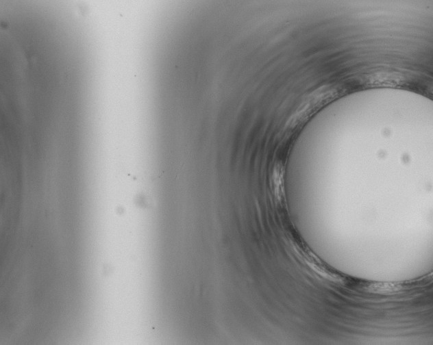 X0000066520142200603170959