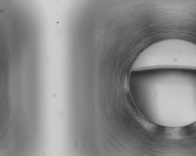 X0000066520143200603170959