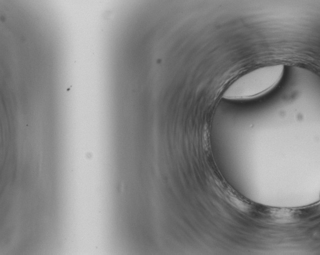 X0000066520144200603170959