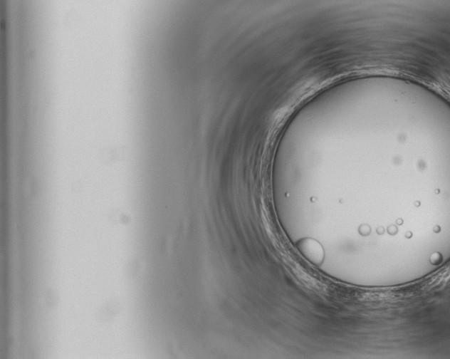 X0000066520145200603170959