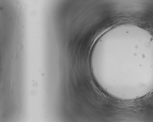 X0000066520146200603170959