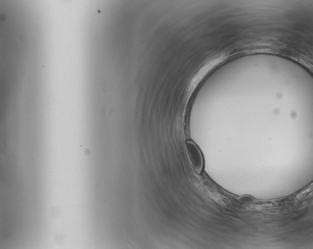 X0000066520147200603170959