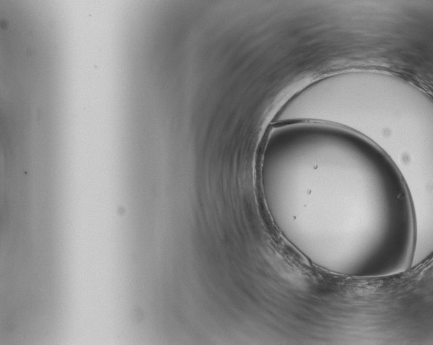 X0000066520148200603170959