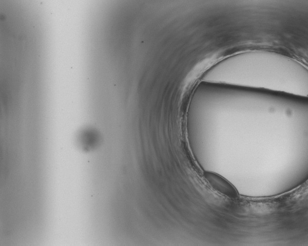 X0000066520149200603170959