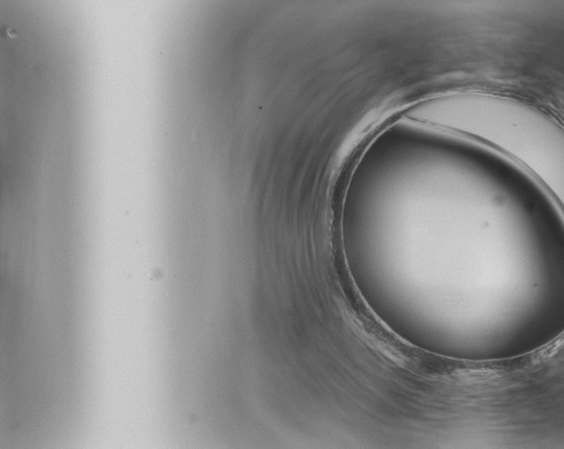 X0000066520150200603170959