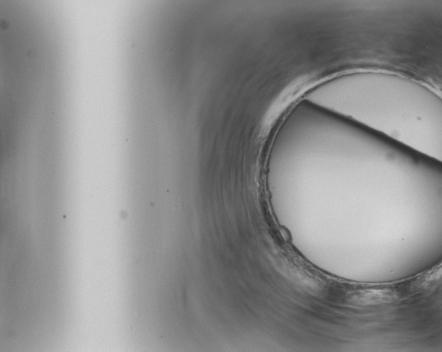 X0000066520151200603170959