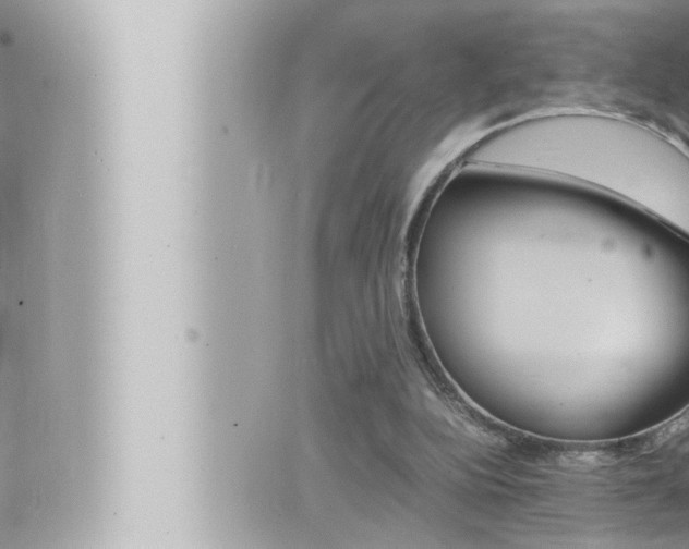 X0000066520152200603170959