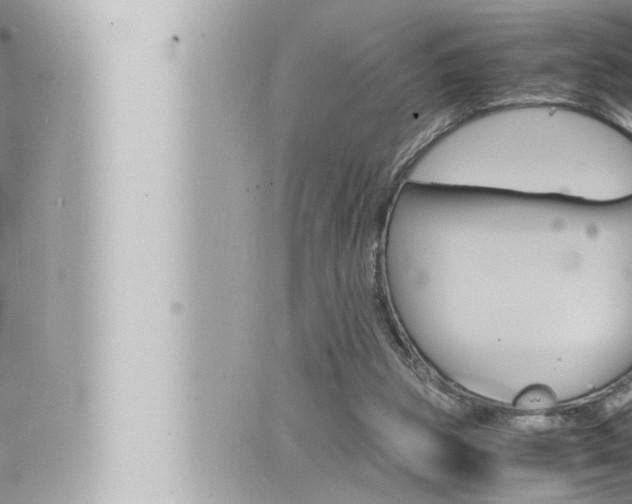 X0000066520153200603170959