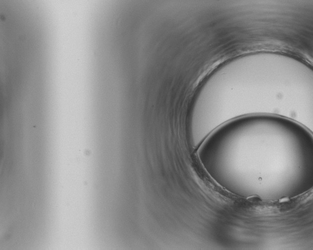 X0000066520154200603170959