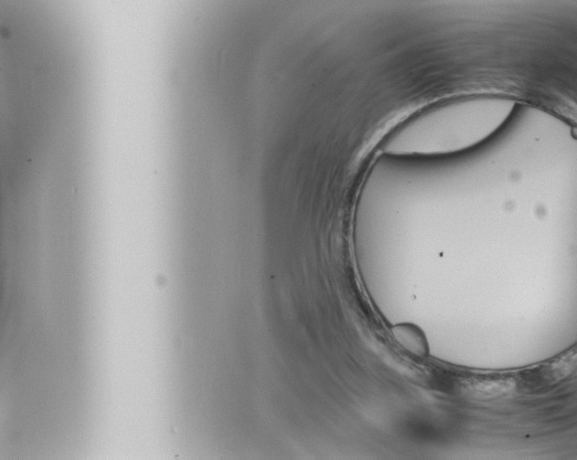 X0000066520155200603170959