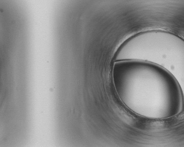 X0000066520156200603170959