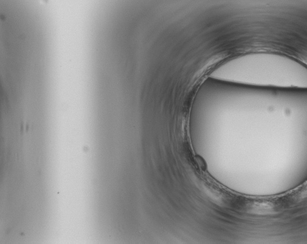 X0000066520157200603170959