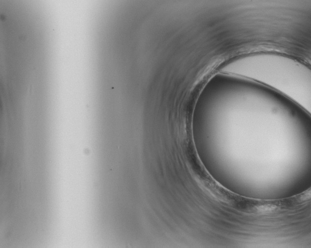 X0000066520158200603170959